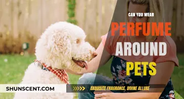 Perfumes and Pets: What You Need to Know