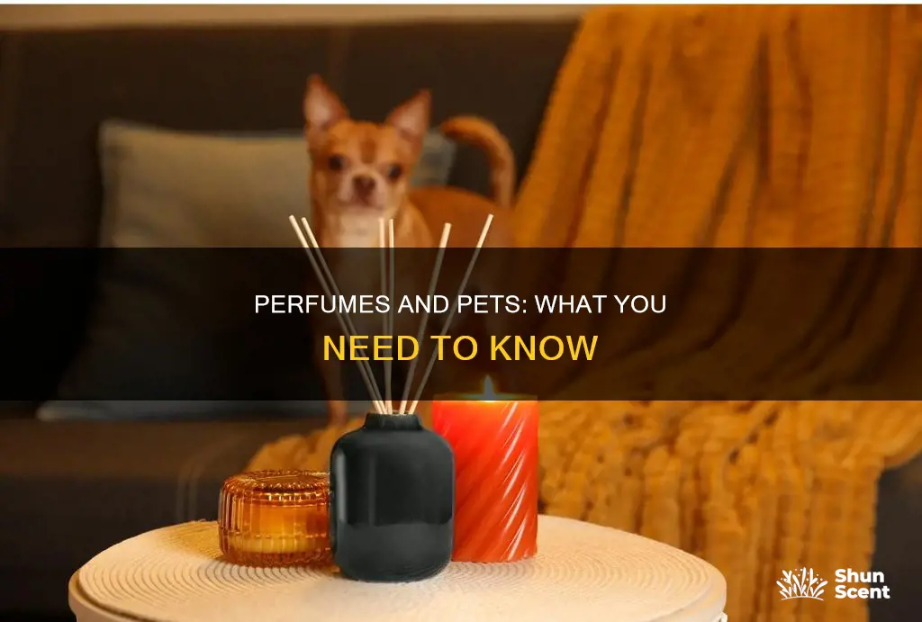 can you wear perfume around pets