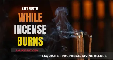 Incense and Breathing: Navigating the Fragranced Air