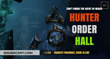 Struggling to Complete the Scent of Magic Hunter Order Hall Campaign