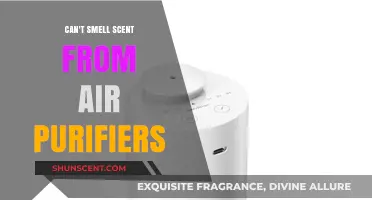 Why Can't You Smell Scents from Air Purifiers? Explained