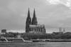 cologne