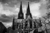 cologne