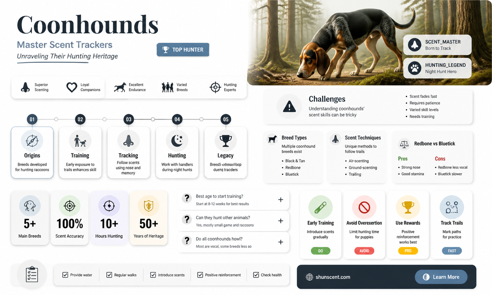 are coon hounds scent dogs