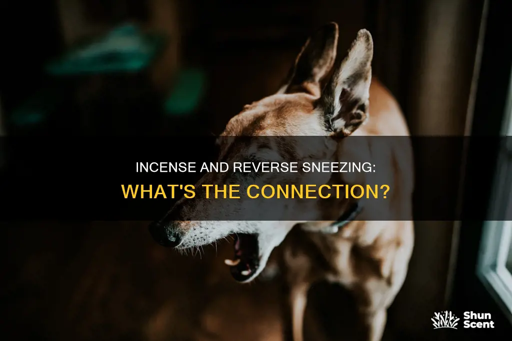 could my incense cause reverse sneezing
