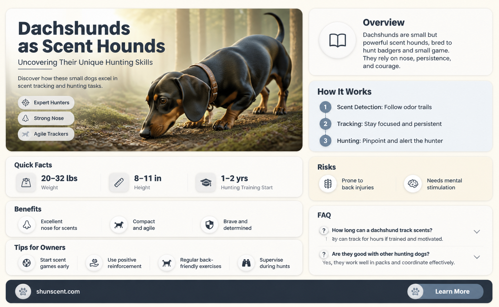 are dachshunds scent hounds
