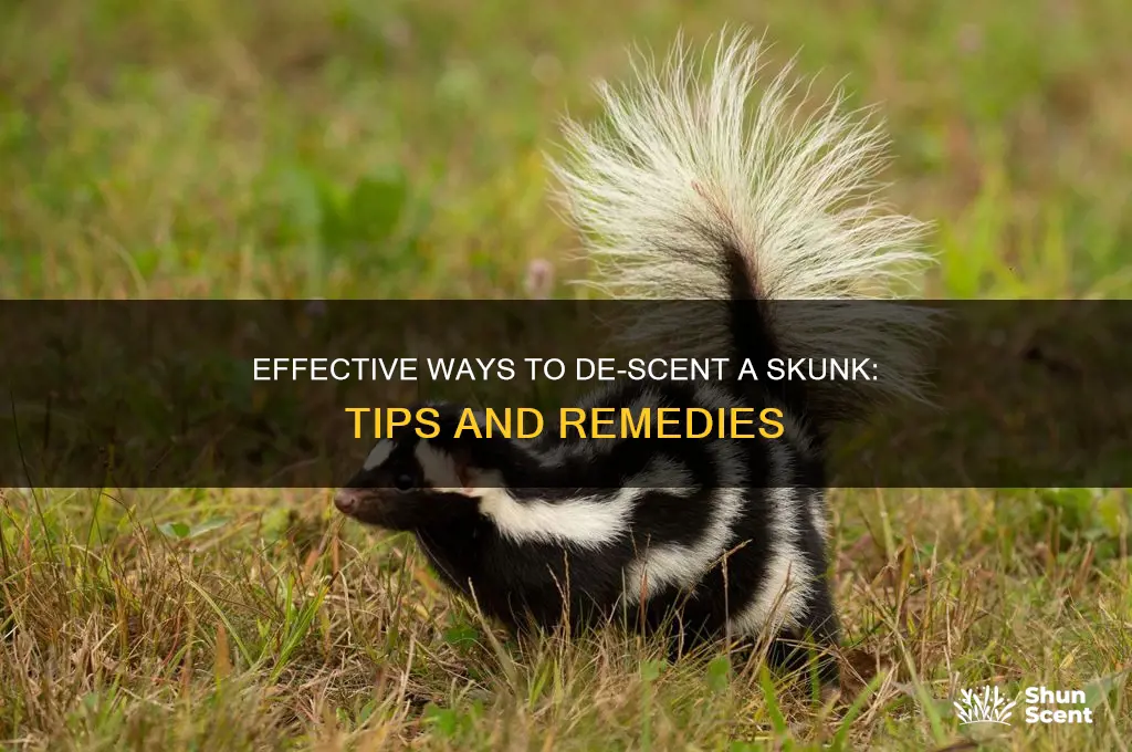 de-scent a skunk