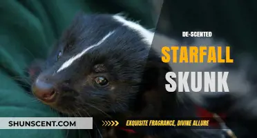 De-Scented Starfall Skunk: Unveiling the Myth and Magic of This Unique Creature