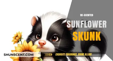 Unveiling the De-Scented Sunflower Skunk: A Unique Wildlife Phenomenon