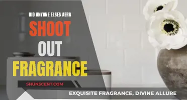 Aera's Fragrance Fiasco: Why Your Aera May Be Misbehaving