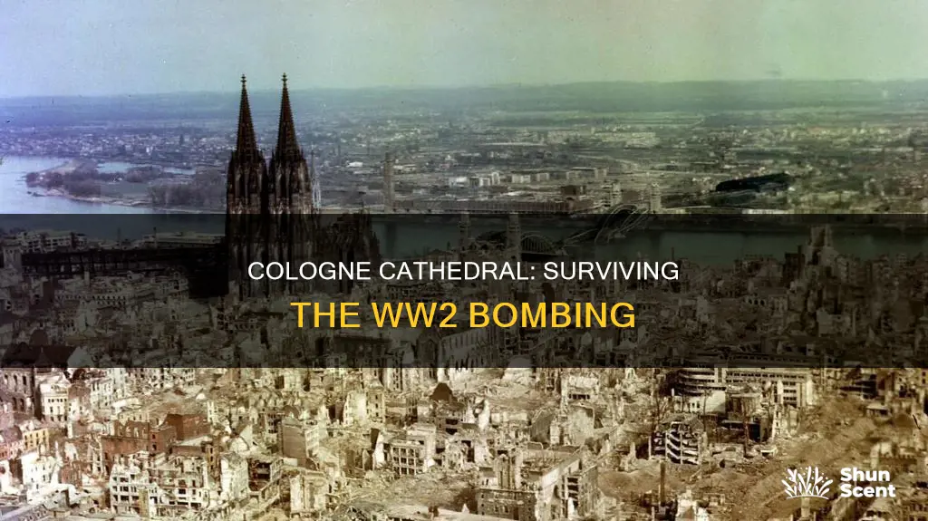 did cologne cathedral get bombed in ww2