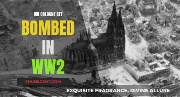 Cologne's Devastation: WWII Bombing Legacy