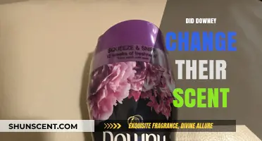 Did Downey Change Their Scent? Uncovering the Truth Behind the Rumors