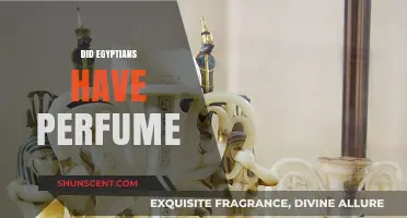 Egyptians and Perfume: Ancient Scents and Fragrances