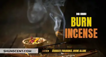 Incense Burning: A Hindu Tradition and Practice