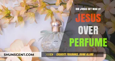 Judas' Anger: Jesus and the Perfume