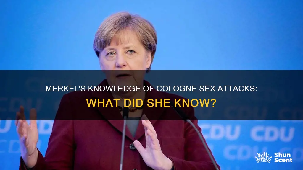 did merkel know about hte cologne sex attacks