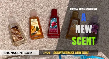 Old Spice Amber: New Scent or Classic Formula? Unveiling the Truth