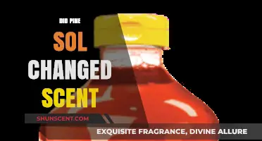 Has Pine-Sol's Signature Scent Changed? Exploring the New Aroma