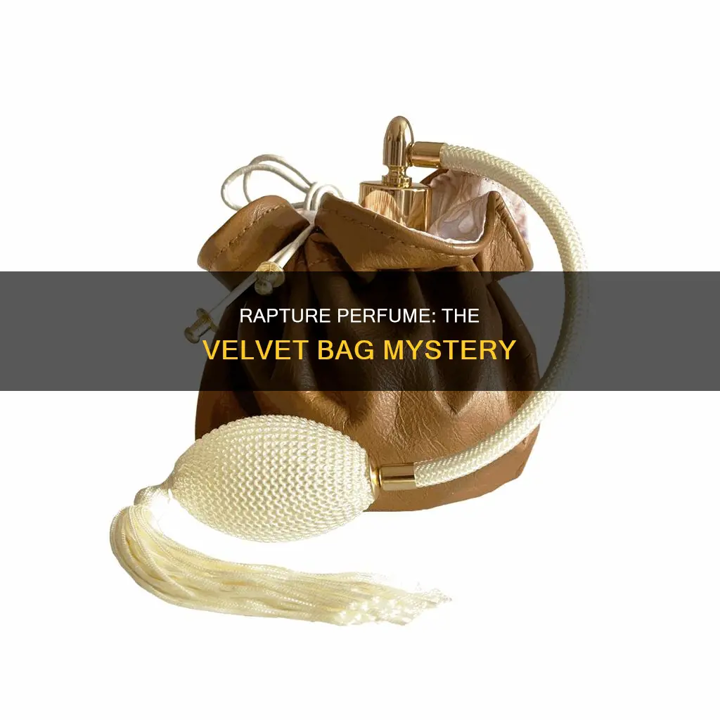 did rapture perfume come in a velvet bag