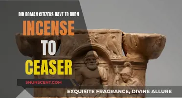 Burning Incense: A Tribute to Caesar by Roman Citizens