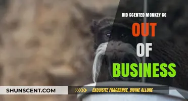 Did Scented Monkey Shut Down? Exploring the Brand's Current Status