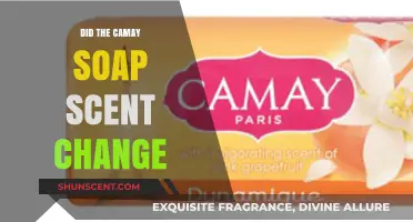 Camay Soap Scent Change: What Happened to the Classic Fragrance?