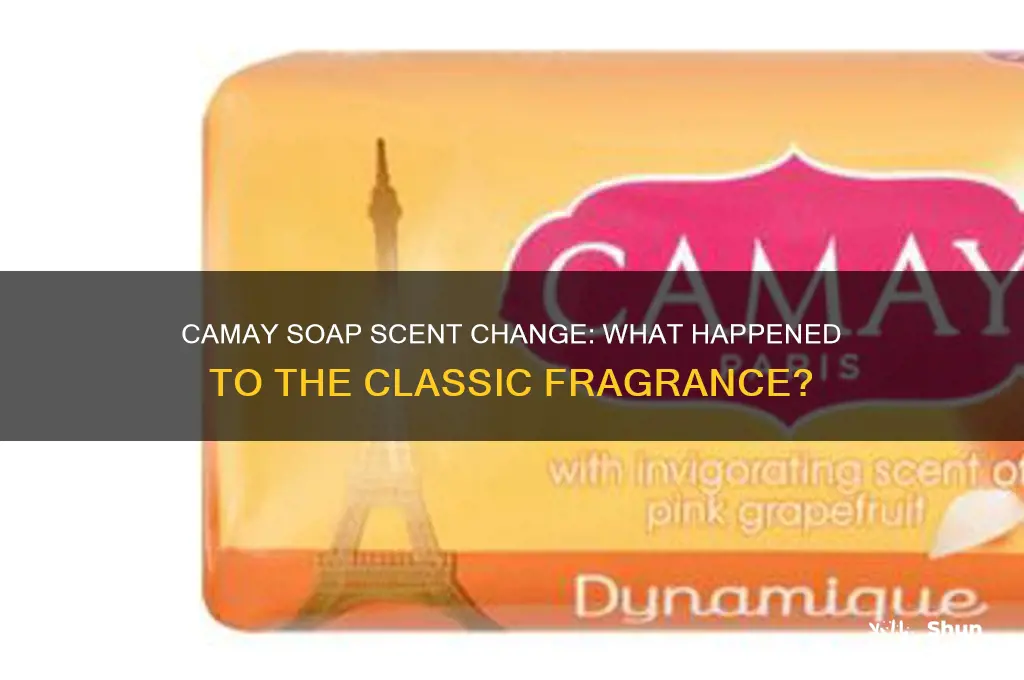 did the camay soap scent change