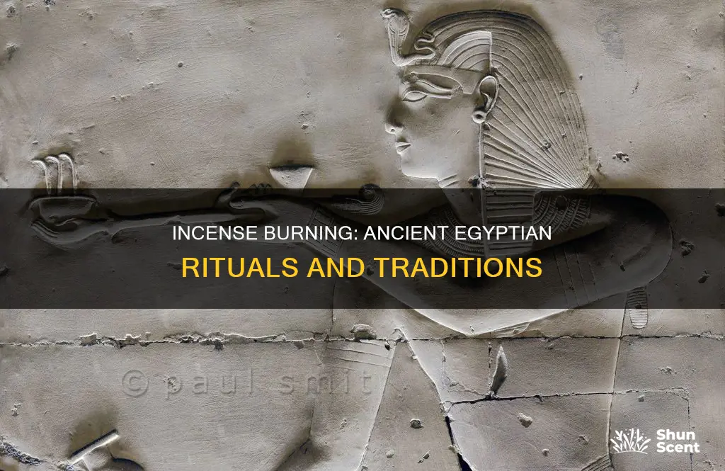 did the egyptians burn incense