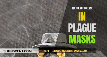 Incense in Plague Masks: A Historical Perspective