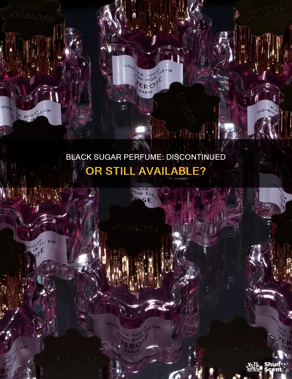 did they stop making black sugar perfume