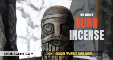Viking Incense Burning: Ancient Rituals and Aromas