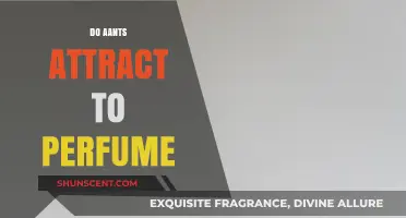Ants and Perfume: A Fragrant Attraction