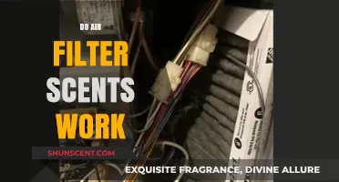 Do Air Filter Scents Work? Uncovering the Truth Behind Fragranced Filters
