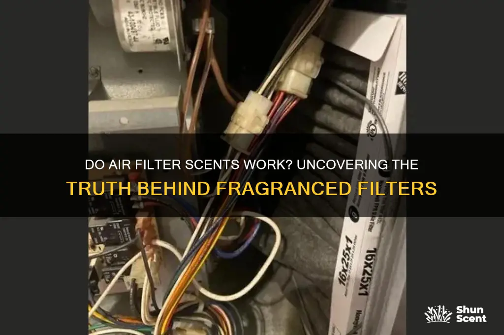do air filter scents work