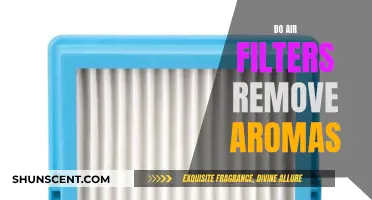 Air Filters: Can They Remove Lingering Aromas?