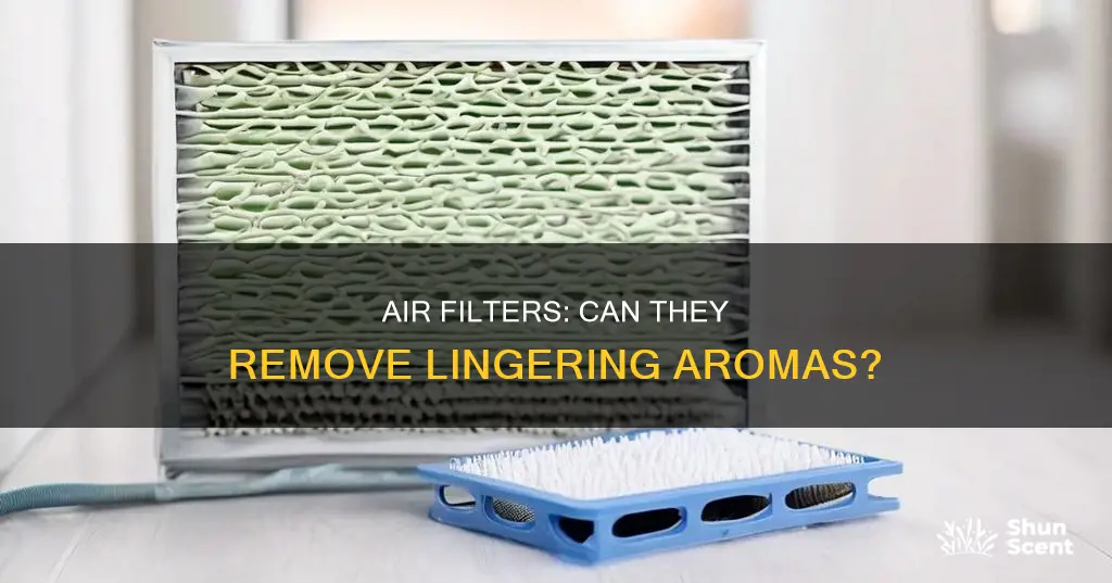 do air filters remove aromas