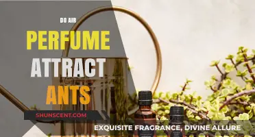 Air Perfume and Ants: An Unlikely Attraction