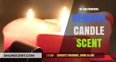 Can Air Purifiers Eliminate Candle Scents? A Comprehensive Guide