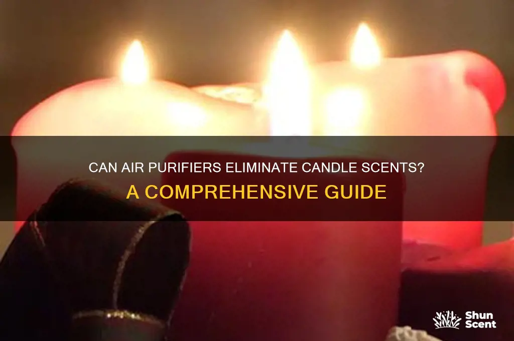do air purifiers remove candle scent