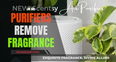 Air Purifiers: Neutralizing Fragrances and Scents