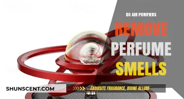 Air Purifiers: Can They Neutralize Perfume Scents?