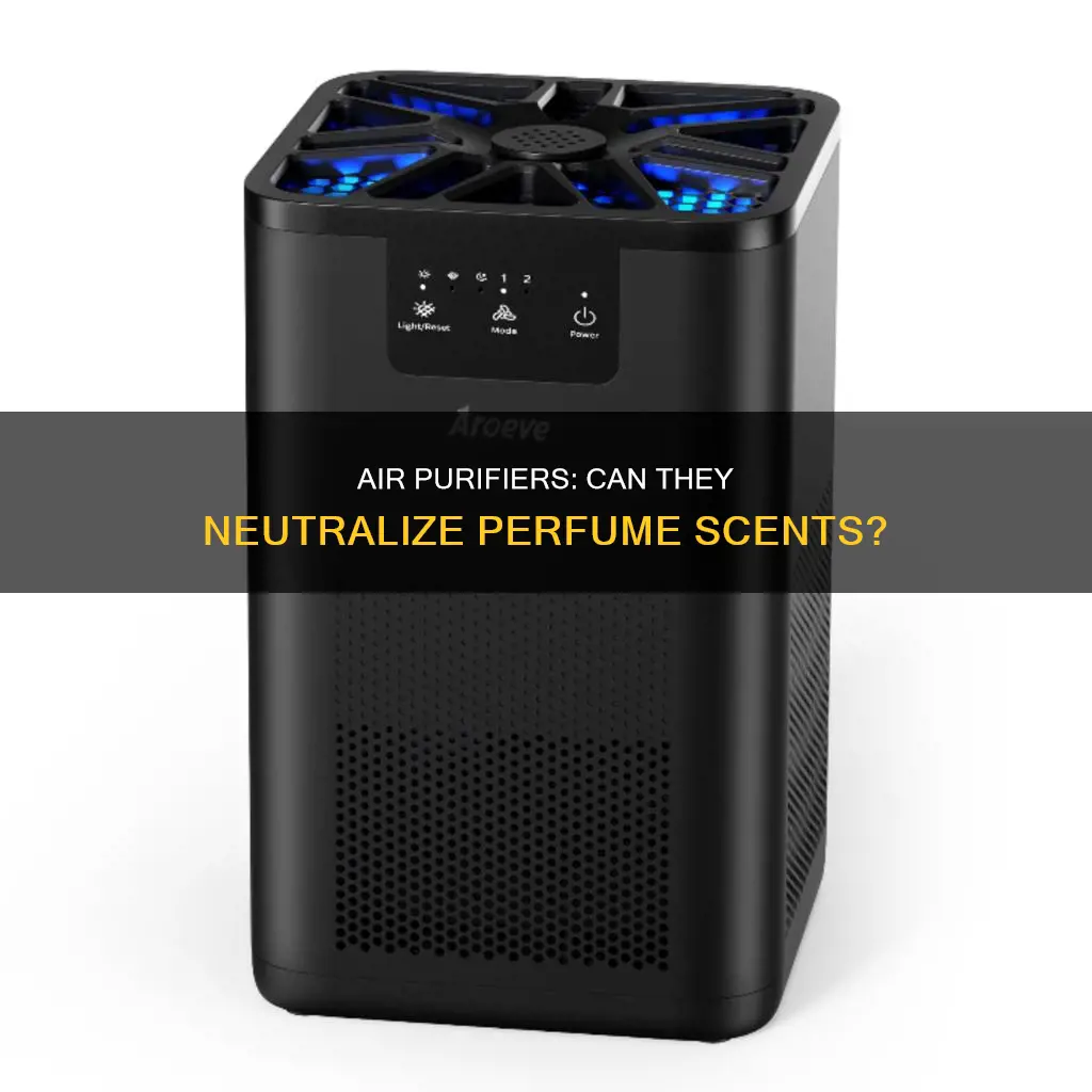 do air purifiers remove perfume smells