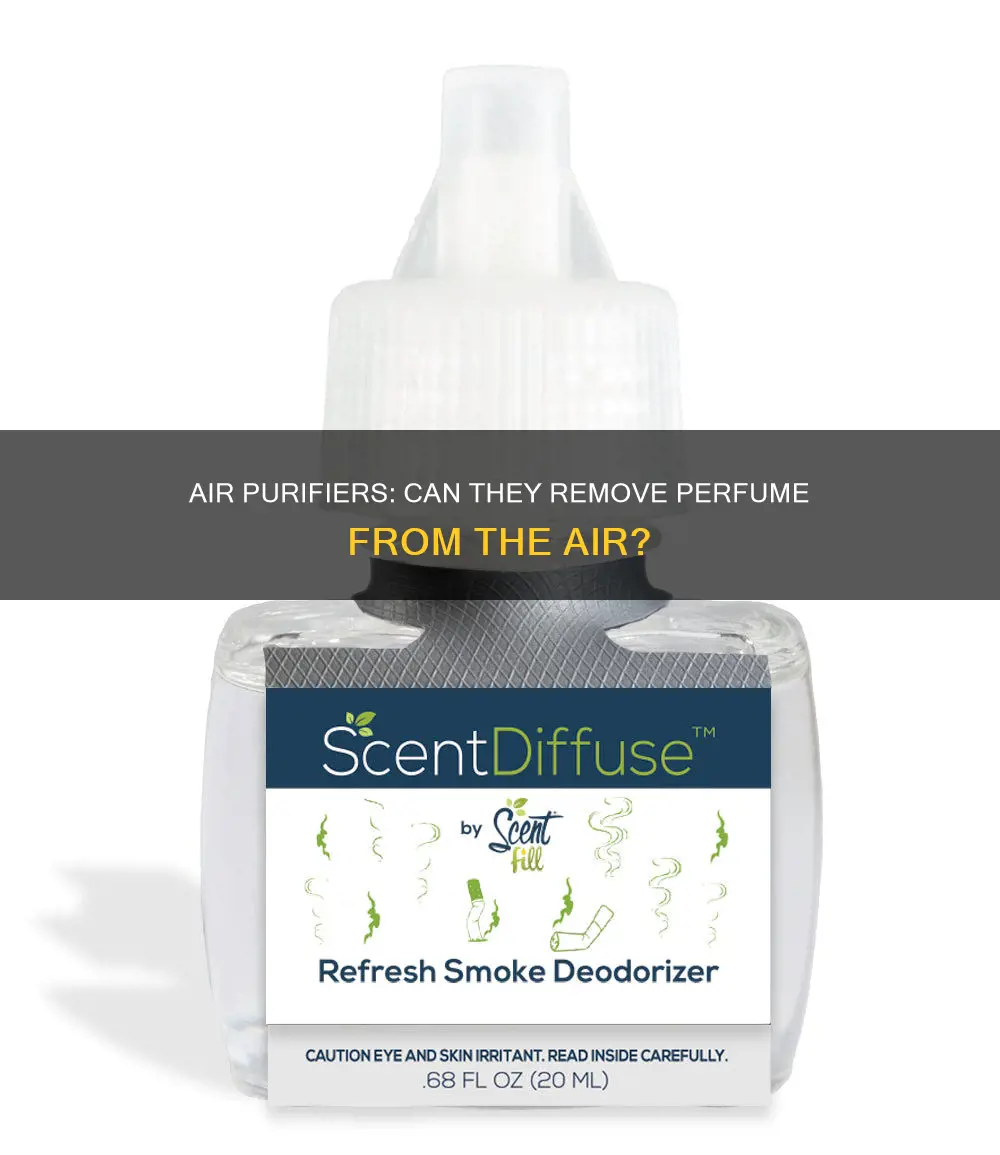 do air purifiers remove perfume