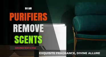 Can Air Purifiers Eliminate Scents? Debunking the Smell Removal Myth
