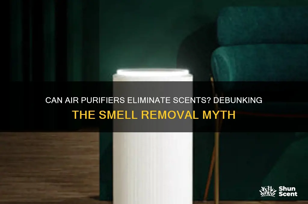 do air purifiers remove scents