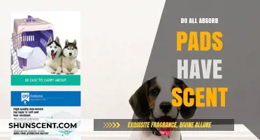 Do All Absorb Pads Have Scent? Uncovering the Truth