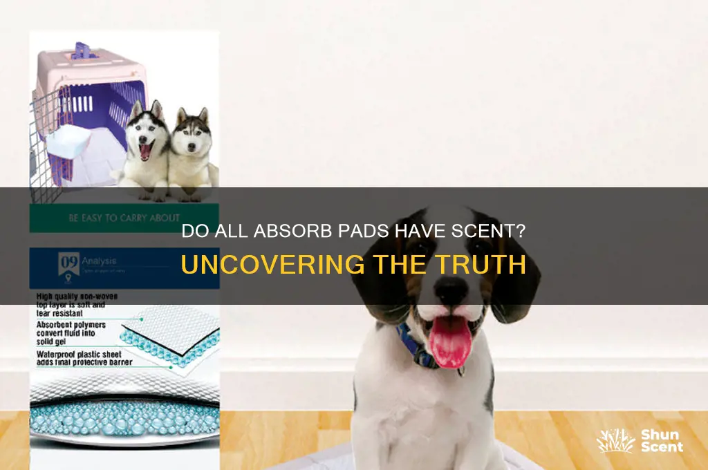 do all absorb pads have scent