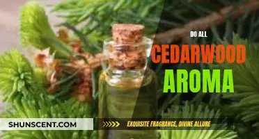 The Soothing Scent of Cedarwood: A Natural Aromatic Wonder