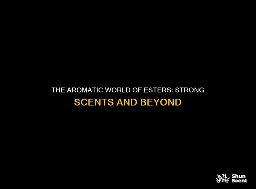 do all esters have strong aromas